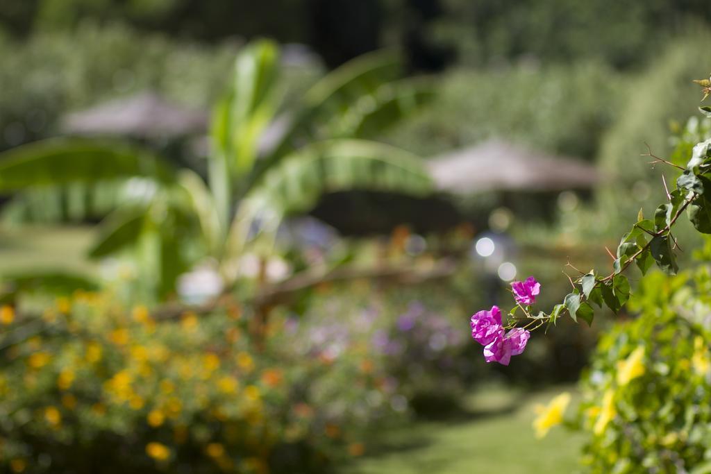 Hotel Mariposas Villasimius Ngoại thất bức ảnh